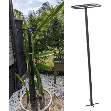 Structure de Support Vertical Carbone Support en Cage à Fruits du Dragon pour Jardins Verticales Plants Grimpeants