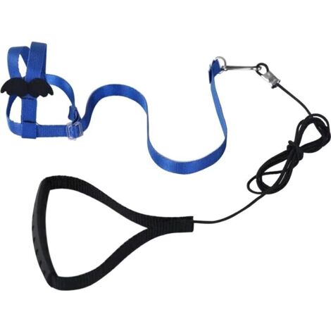 Stück (blau) verstellbares Papageiengeschirr, Haustierleine, Anti-Biss-Seil, elastisches Band für Vögel, Papageien, Kakadus, Aras FLITI