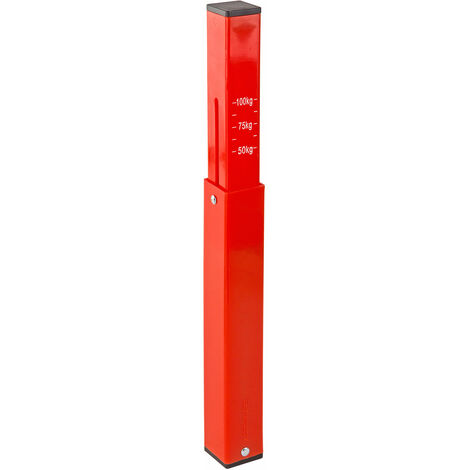 Stützlastwaage 100kg