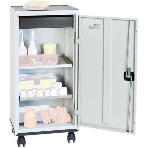 Stumpf Werkzeug- und Materialschrank Serie 3000 lichtgrau + 1 Schublade 100 mm + 2 Auszugsböden Rolluntersatz - 3093107