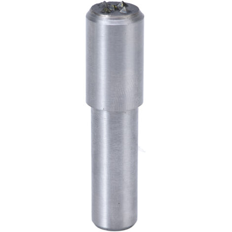 Stylo de Dressage Diamant 5 Points pour Meule, Tige Acier Carbone 10mm