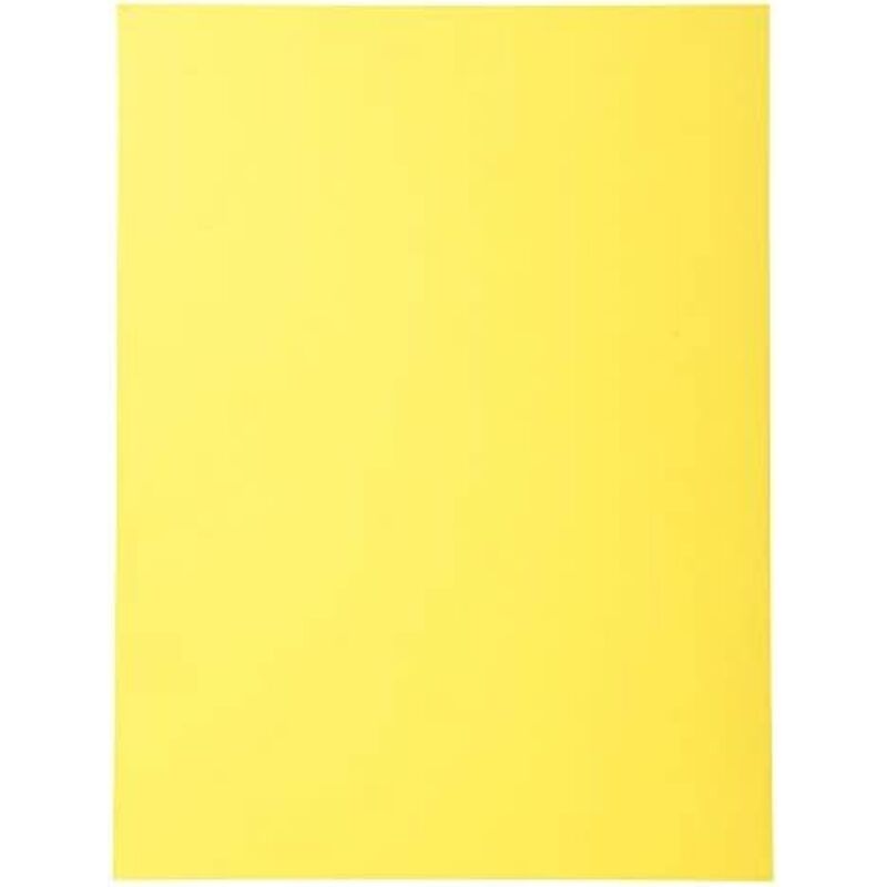 

Subcarpeta cartulina reciclada exacompta din a4 amarillo 170 gr (pack de 100 uds.)