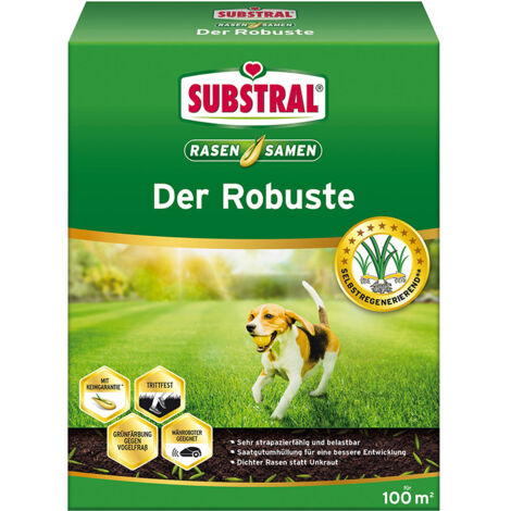 Substral Rasensamen Der Robuste 2kg