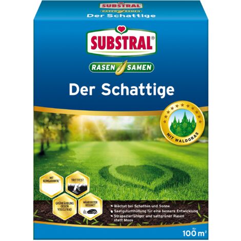 Substral Rasensamen Der Schattige 2kg