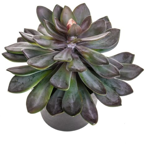 Succulent Artificiale con Vaso Altezza 28 cm Verde