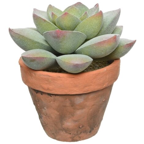 SUCCULENTE ARTIFICIALE IN VASO MODELLO A SCELTA