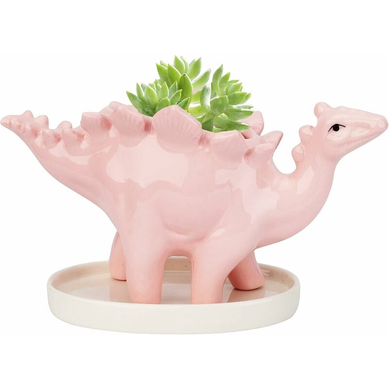 Fei Yu - Succulente Céramique Pot, Dinosaure Plante Pot, Cactus Pots de Fleurs avec Soucoupe, Mini Intérieur Pot de Céramique Mignon Animal pour
