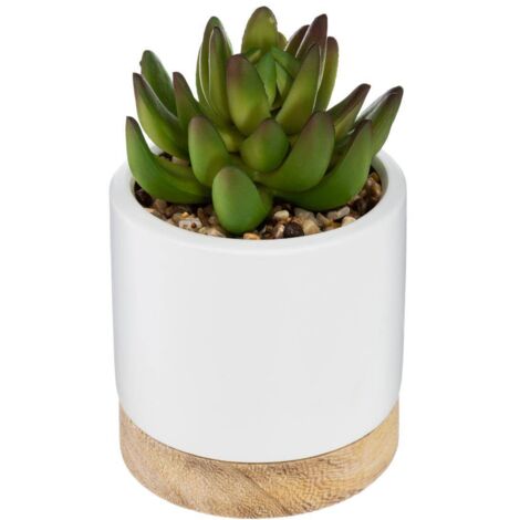 Suculenta artificial maceta de cerámica H12cm - Atmosphera créateur d'intérieur