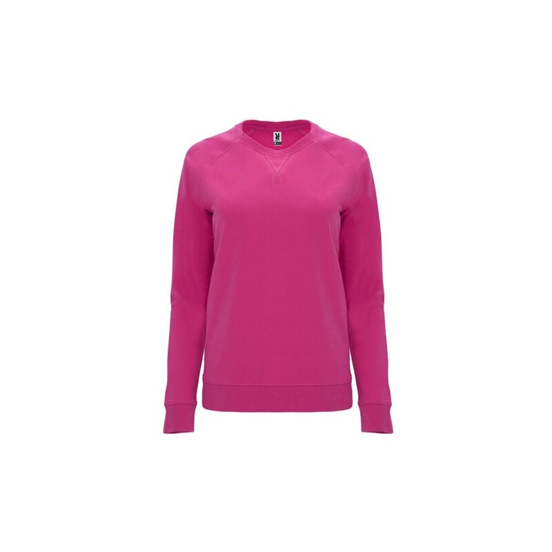 

Roly - Sudadera de algodón de manga larga estilo ranglán SU11110155 | XL - Roseton