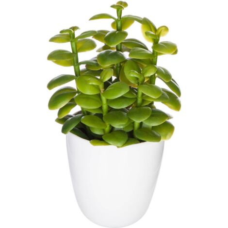 Sukkulente &amp Kaktuspflanze H18cm - Model 2