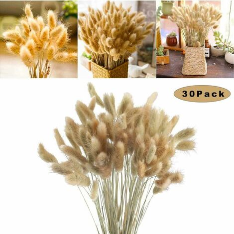 Sunshine smile 30 pieces Dried pampas grass, dried flower bouquet decoration, natural pampas grass for home decoration photography wedding white