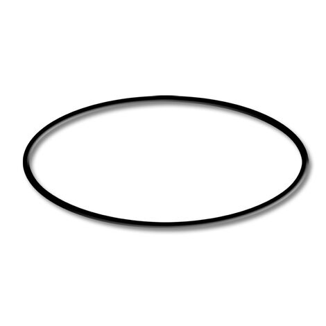 SunSun Bomba para piscina HZS-550 O-Ring 3