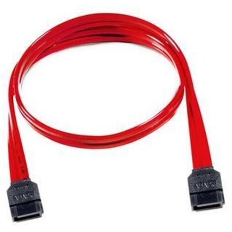 SUPERMICRO Cavo SATA (2Ft.) Cavo SATA 0,6 m rosso - Cavo SATA (0,6 m, rosso)