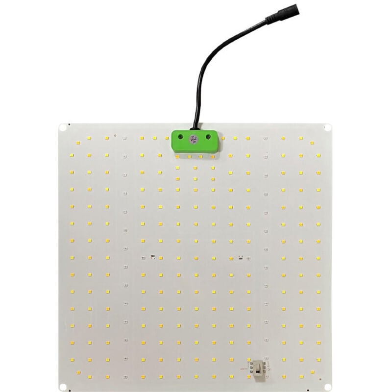 Quantum Light 2.3 - 65W - Superplant