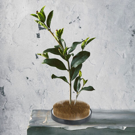 Support à fleurs japonais Kenzan en forme ronde - Accessoire d'arrangement floral avec épingles en cuivre