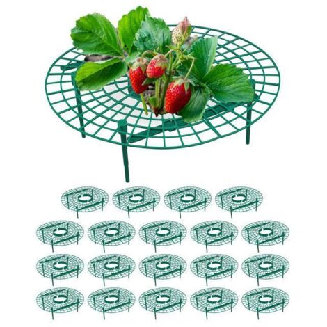 Support à Fraises, Lot de 20, Anti-limaces et Anti-pourriture, Grille de Culture en Plastique Vert pour Fraisiers