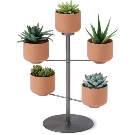 Support à plantes avec 5 pots Terrapotta