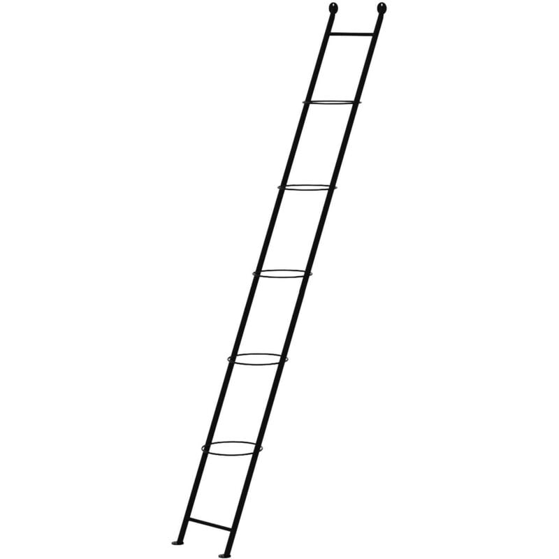 Support à plantes en acier Ladder