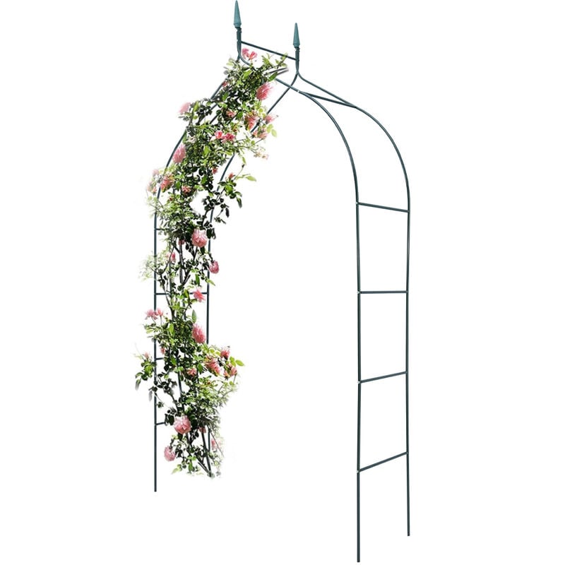Support d'arche de jardin pour rosiers et plantes grimpantes en métal Hauteur 240 cm