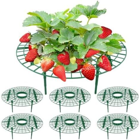 Support de Cadre Fraise - Lot 6 Supports Amovibles pour Plantes Fraises 30x10cm