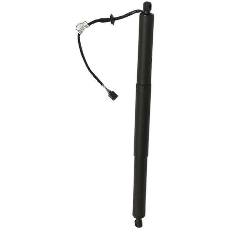 Support de hayon électrique gauche - Maintien électrique pour --