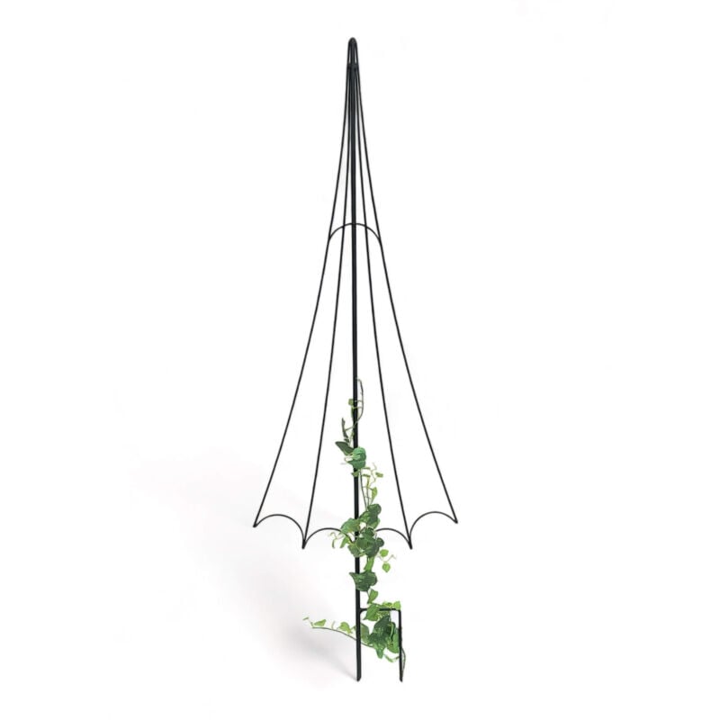 Supports de plantes grimpantes Jardin Métal Noir Parapluie Treillis Fleurs Plantes grimpantes Roses Piquets de sol Supports de fleurs Supports de