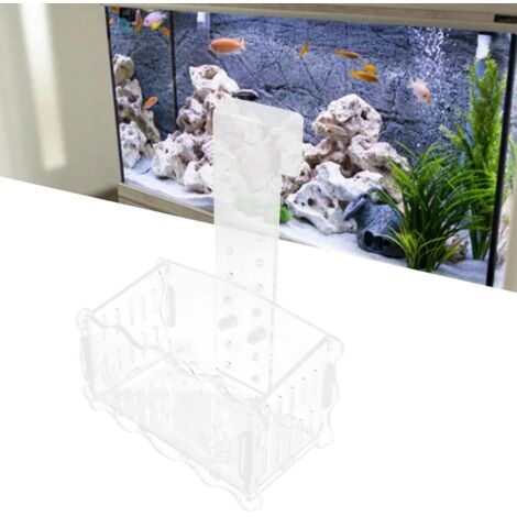 Support de Plantes Aquatiques Moyen pour Aquarium Décoration et Cultivation en Verre Suspension