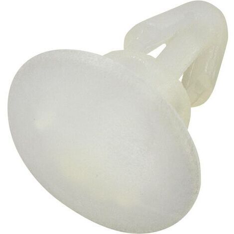 Support de platine TC-RS3203 TRU COMPONENTS 1593459 Polyamide Écartement 8.9 mm 1 pc(s) S021301