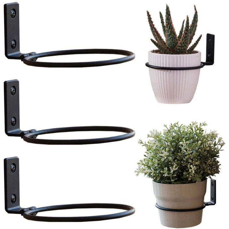 Support de Pot de fleur, 3 pièces, diamètre 15 cm, anneau de support mural en métal pour Pot de fleur avec vis, noir