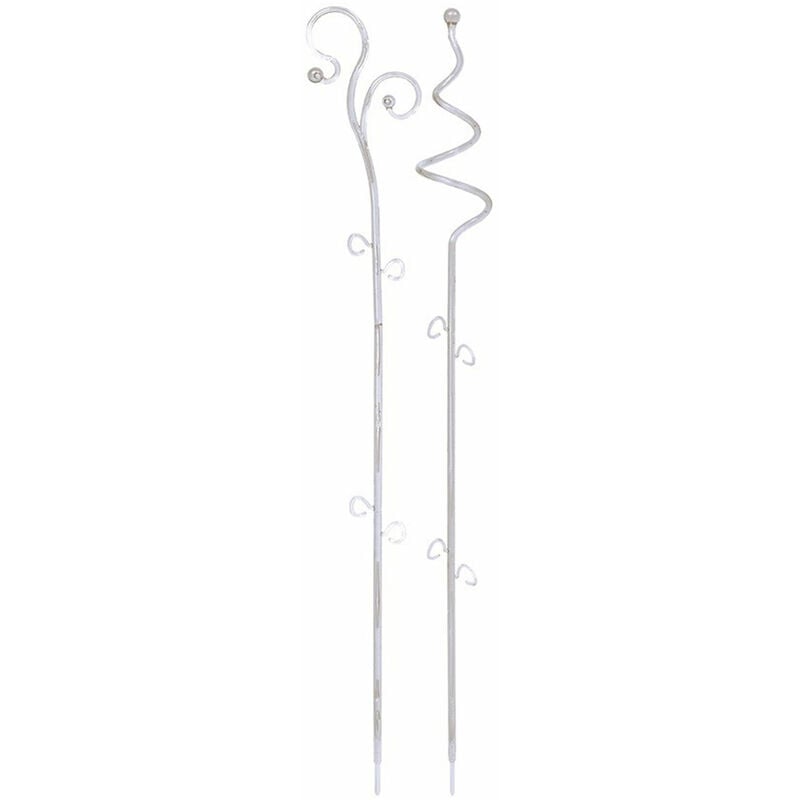 Prosperplast - Support pour fleurs ou plantes grimpantes decor , dimensions (mm) 90/60x585, couleur Transparent - Transparent