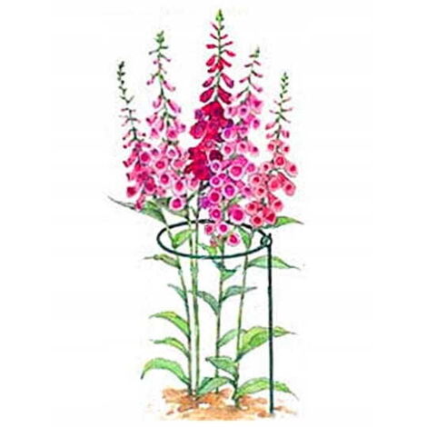 Support pour plante à tige longue 45 x 26 cm vert foncé