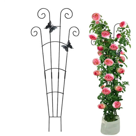 Support pour plantes grimpantes accessoire robuste dcor