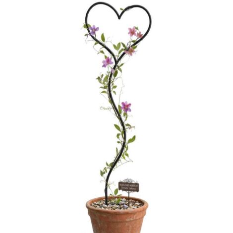 Support pour plantes grimpantes Coeur Support pour plantes grimpantes en métal 147 cm Fiche de sol Fiche de treillis