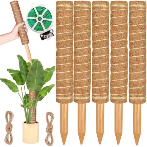 Support pour Plantes Grimpantes de 40 cm – Tige en Bois et Mousse Naturelle pour Monstera, Pothos et Philodendron