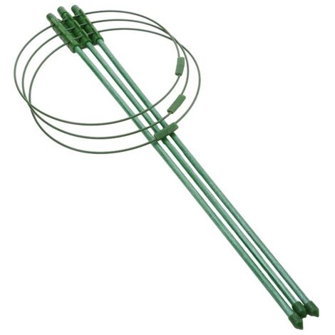 Support pour plantes grimpantes, treillis en fer, accessoires de jardinage pour plantes, décorations florales et potagères, et supports pour treillis.