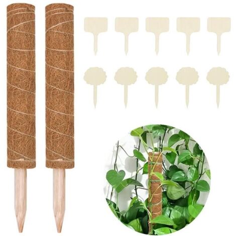 Support pour Plantes Grimpantes - Tuteur en Mousse de Coco - 40cm - Blanc