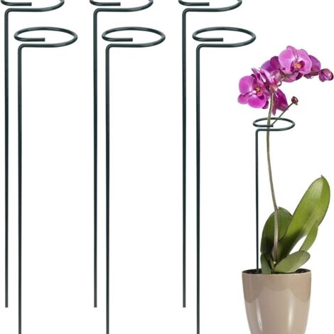 Support pour plantes vivaces, support pour arbustes, support en acier pour jardin, tige unique