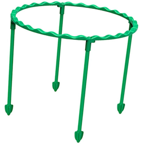 Support pour plants de tomates de jardin cadre de support P