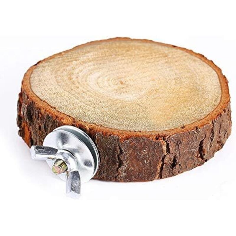 Carburateur Jubee 640169 pour moteurs Tecumseh Snow King 11,5 ch Oh318sa Ohsk80 Ohsk90