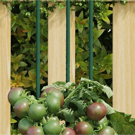 Supporti per Piante da Giardino 30 pz Verde 60 cm Acciaio vidaXL