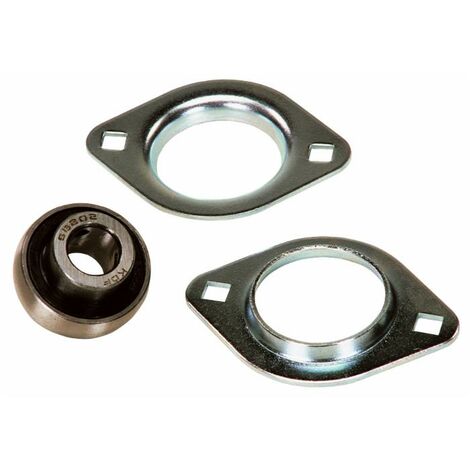Supporto Flangia 2 Fori SBPFL 203 Ø Cuscinetto 17mm