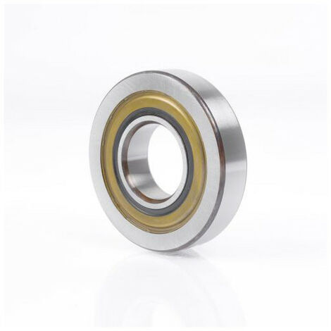 Supporto per cuscinetti a sfera LR205 NPP da 15 mm: acciaio per cuscinetti a rulli ZEN