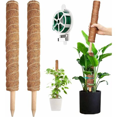 Supporto per piante, 2 pezzi 41 cm Supporto per piante rampicanti Palo di cocco per giardino di casa di piante Monstera con torsione 20 metri per supportare le piante