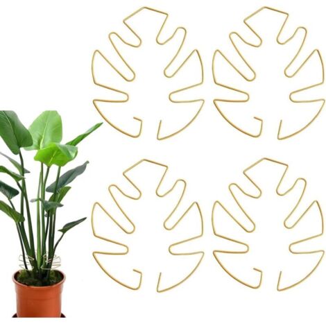 Supporto per piante rampicanti Monstera, set da 4, oro, ideale per piante rampicanti.