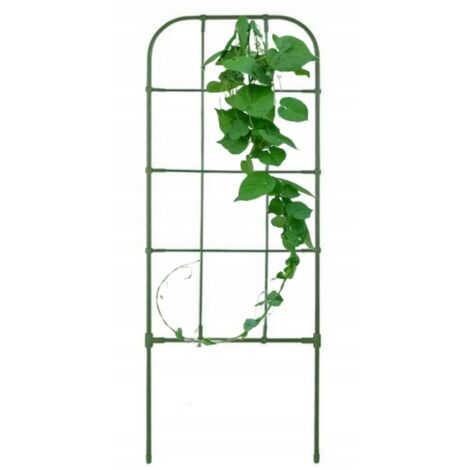 Supporto per piante rampicanti, verde, 75 cm
