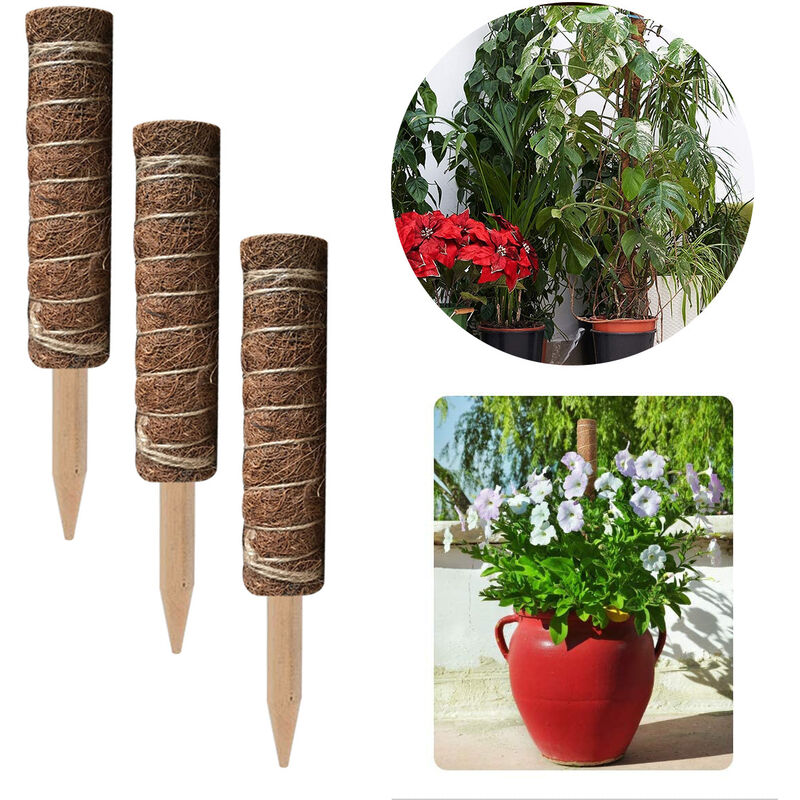 Supports pour plantes 3 pièces, piquets en noix de coco, poteau en noix de coco, bâtons pour plantes grimpantes de jardin domestique