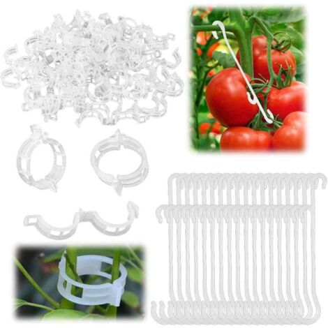 Supports pour plantes en plastique sécurisés, supportent les plantes grimpantes, résistants au vieillissement et imperméables, système de fixation rapide pour une utilisation facile.