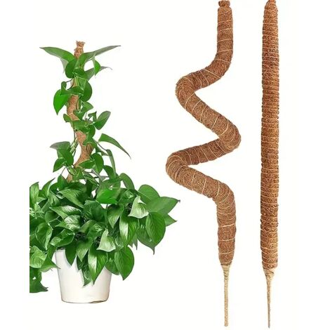 Supports pour plantes grimpantes, tuteurs de jardin, bâtonnets flexibles en cocotier