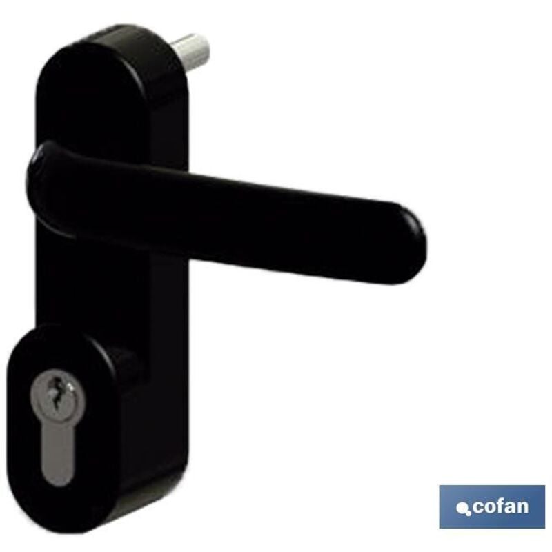 Cofan - Manivelle+Cylindre Anti-panique