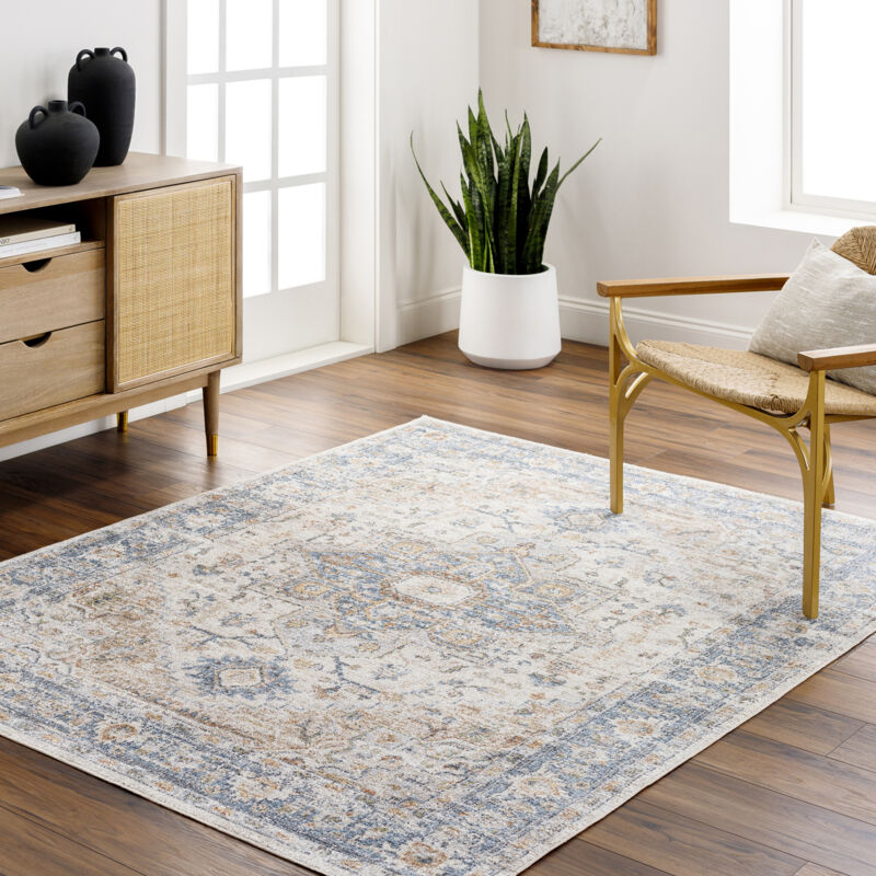 Surya - Tapis Vintage Lavable en Machine Marron/Bleu 160x213 cm